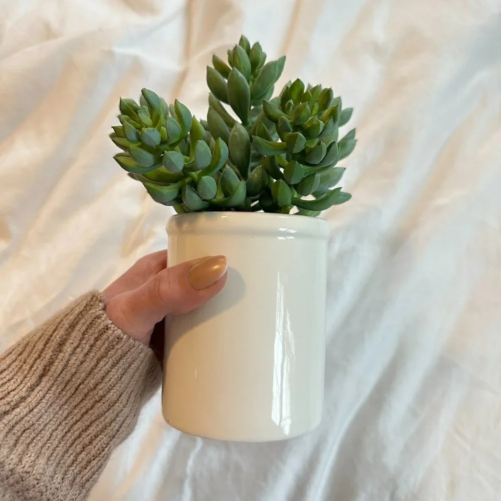 Threshold Artificial Greenery Tabletop Arrangement
